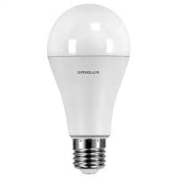 Лампа светодиодная Ergolux 13183, E27, A65, 20 Вт, 4500 К