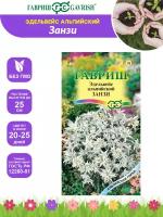 Семена Эдельвейс альпийский Занзи серия Альпийская горка 0,02 гр