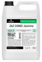 Ароматизированный кондиционер Pro-Brite 646 ZAZ CONDI Jasmine / для белья