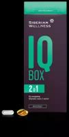 IQ Box / Интеллект - Набор Daily Box, 30 пакетов по 2 капсулы / Сибирское здоровье / Для хороший памяти и концентрации внимания