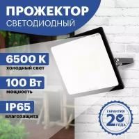 Прожектор REXANT 605-005, 100 Вт, свет: холодный белый