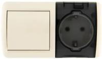 Блок переключателя с розеткой Lezard NATA 710-0300-170 горизонтальный одноклавишный открытая установка крем с заземлением с крышкой