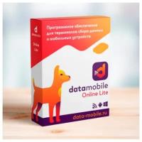 Программное обеспечение для ТСД DataMobile, версия Online Lite (Windows/Android), Lifetime лицензия