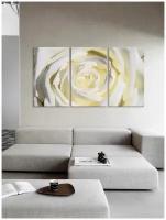 Модульная картина на холсте для интерьера на стену, в спальню, в комнату, в гостиную, триптих из 3 частей с цветком белая роза, декор для дома