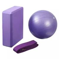 Набор для йоги Sangh, блок + ремень + мяч, цвет фиолетовый