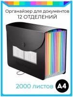 Папка-органайзер для документов А4 на резинке, 12 ячейки-отделения, органайзер для документов, папка для семейных документов