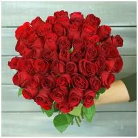 Букет живых цветов из 51 красная роза с лентой 40см