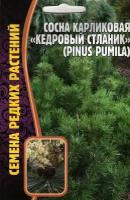 Сосна карликовая кедровый стланик /pinus pumila ( 1 уп: 5 семян )
