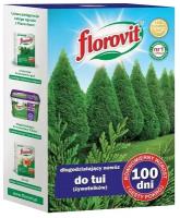 Удобрение Florovit длительного действия для туй 100 дней. 1 кг