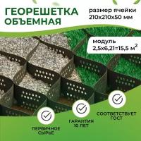 Георешетка объемная с перфорацией 210x210x50 мм