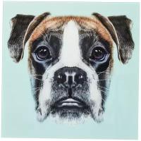 KARE Design Картина Dog Face, коллекция 