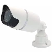 Камера видеонаблюдения муляж камеры видеонаблюдения Орбита OT-VNP21 белый