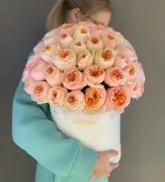Роза Джульетта, пионовидные розы в коробке 51 шт, красивый букет цветов, шикарный, цветы премиум, букет роз