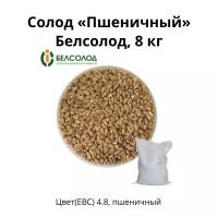 Солод Пшеничный Belsolod, 8 кг