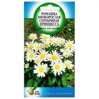 Ромашка многолетняя низкорослая Серебряная Принцесса, 80 семян