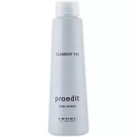 Lebel Cosmetics Сыворотка для волос Proedit Element Charge Care Works Element Fix, 150 мл, бутылка