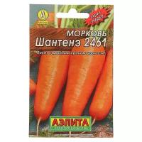 Семена Агрофирма АЭЛИТА Лидер Морковь Шантенэ 2461 2 г