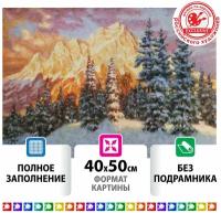 Картина стразами (алмазная мозаика) 40*50 см, остров сокровищ 