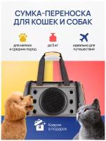 BestPets Переноска для кошек, перевозка для собак мелких пород, сумка переноска для животных для самолета