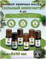 Эфирные масла натуральные для бани и сауны набор Бацькина баня ароматизатор для дома, арома масла 6 шт