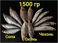 Рыбный набор №19, 1.5кг (Сопа +Чехонь + Окунь), Астраханская вяленая рыба