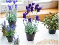Элитные искусственные цветы лаванда в горшочке, пластик, цвет-фиолетовый, 18x18x38 см, Kaemingk