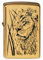 Оригинальная бензиновая зажигалка ZIPPO 204B Proud Lion с покрытием Brushed Brass - Гордый Лев