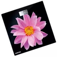 Весы CENTEK CT-2416 PINK FLOWER черно-розовый