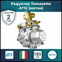 Редуктор Tomasetto AT12, 185 кВт, (метан)