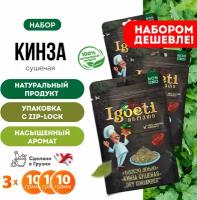 Кинза сушеная 10 гр х 3 шт, специи и приправы Spice Igoeti (Грузия)