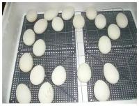 Решетка гусиная для инкубатора Несушка на 104 куриных яйца