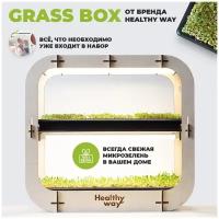 Healthy Way Набор для выращивания микрозелени дома Grass Box. Стеллаж для проращивания рассады и цветов на подоконнике