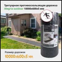 Тротуарная противоскользящая дорожка Alegria outdoor 10000х600х5 мм