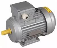 Электродвигатель АИР DRIVE 3ф 63B2 380В 0.55кВт 3000об/мин 1081, IEK DRV063-B2-000-5-3010 (1 шт.)