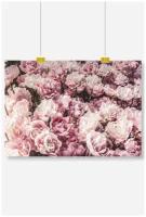 Постер на стену для интерьера Postermarkt Розовые цветы, размер 70х100 см, постеры картины для интерьера в тубусе