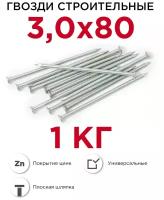 Гвозди строительные Профикреп оцинкованные 3,0 х 80 мм, 1 кг
