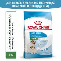 Сухой корм Royal Canin Mini Starter Mother & Babydog (Мини Стартер Мазе Энд Бэбидог) для беременных и кормящих собак и щенков до 2-х месяцев (для мелких пород), 3 кг