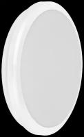 Настенно-потолочный светильник IEK ДПБ 3003, 18 Вт, кол-во ламп: 1 шт., 4000 К, цвет арматуры: белый, цвет плафона: белый